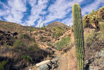 photo thumbnail #5