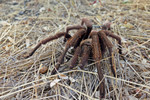 photo thumbnail #1