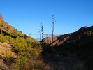 photo thumbnail #11