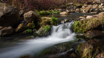 photo thumbnail #6