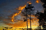 photo thumbnail #2