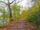 photo thumbnail #14