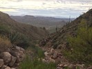 photo thumbnail #2