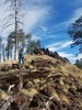 photo thumbnail #9
