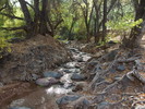 photo thumbnail #14