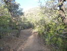 photo thumbnail #7