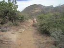 photo thumbnail #12