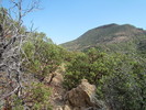 photo thumbnail #11