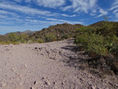 photo thumbnail #13