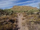 photo thumbnail #14