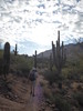 photo thumbnail #3