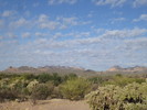 photo thumbnail #4