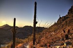 photo thumbnail #4