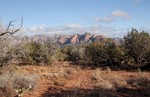 photo thumbnail #3