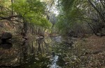 photo thumbnail #11