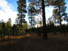 photo thumbnail #2