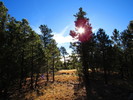 photo thumbnail #5