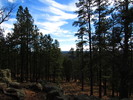 photo thumbnail #12