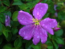 photo thumbnail #10