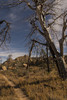 photo thumbnail #7