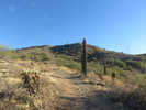 photo thumbnail #9