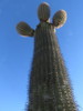 photo thumbnail #15