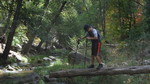 photo thumbnail #5