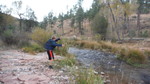 photo thumbnail #8