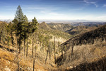 photo thumbnail #10