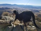 photo thumbnail #5