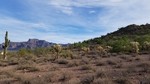 photo thumbnail #14
