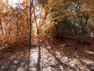 photo thumbnail #11