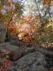 photo thumbnail #14