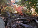 photo thumbnail #15