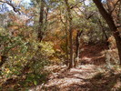 photo thumbnail #8