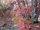 photo thumbnail #10