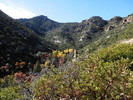photo thumbnail #4
