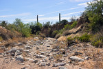 photo thumbnail #3