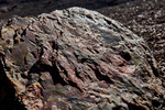 photo thumbnail #8