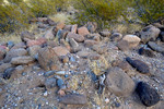 photo thumbnail #10