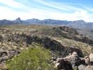 photo thumbnail #5