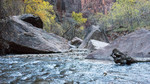 photo thumbnail #12
