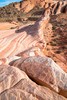 photo thumbnail #15