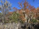 photo thumbnail #7
