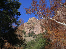 photo thumbnail #8