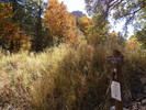photo thumbnail #10
