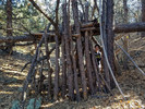 photo thumbnail #3