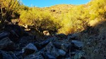 photo thumbnail #2