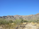 photo thumbnail #2