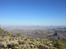 photo thumbnail #4